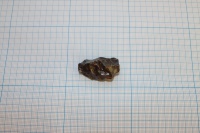 Метеорит Сихотэ-Алинь 